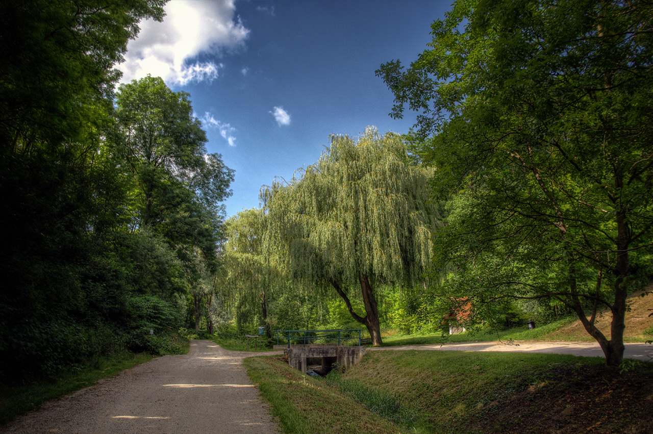 Wanderweg im Weinviertel