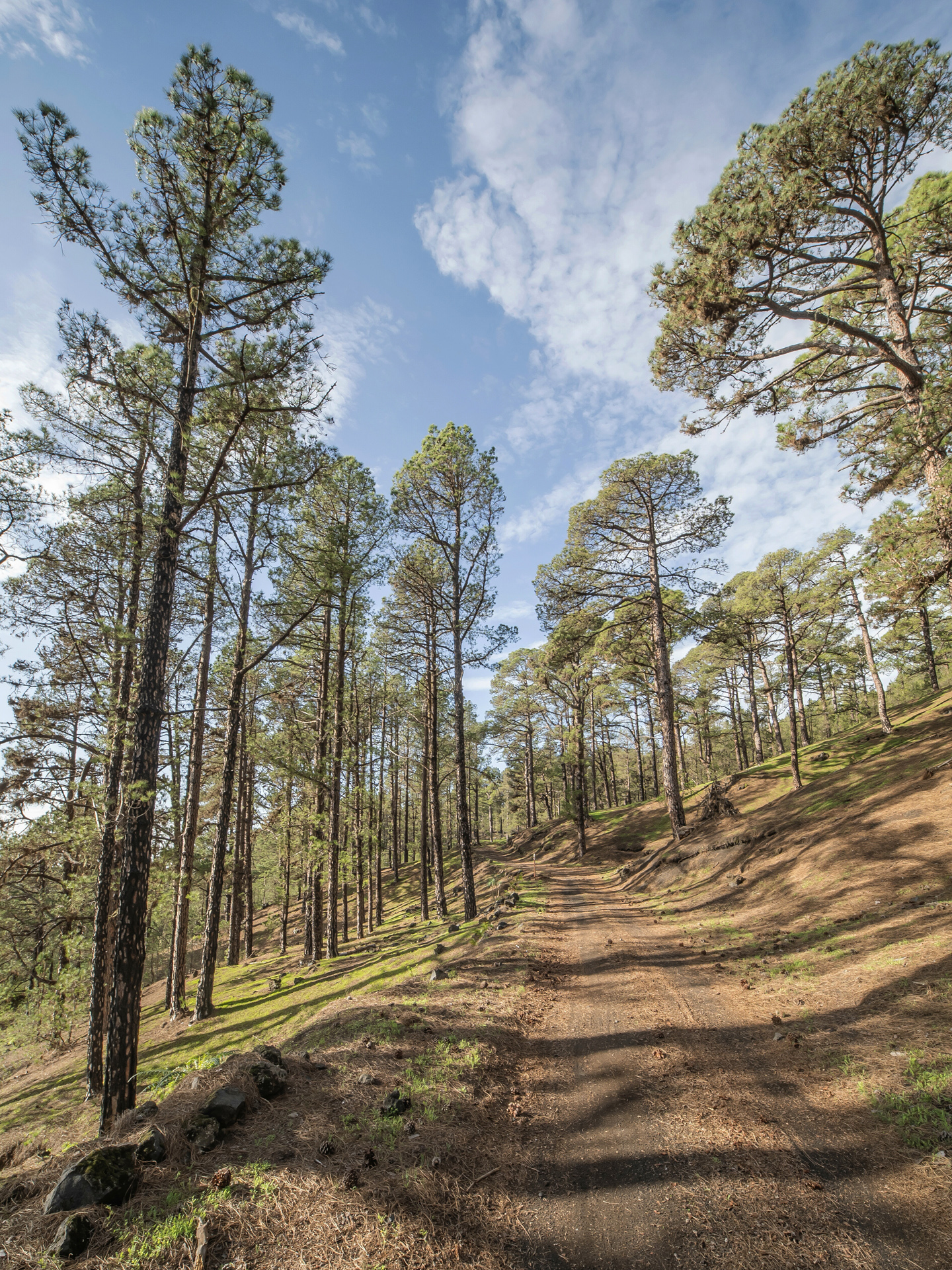 Wanderweg