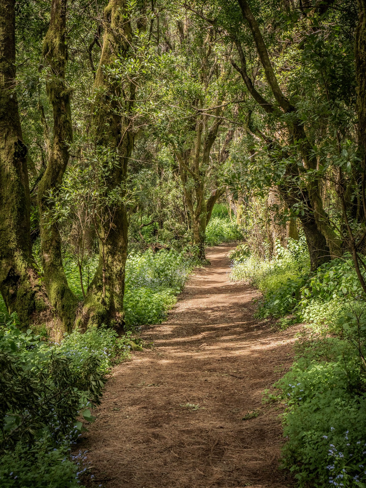 Wanderweg