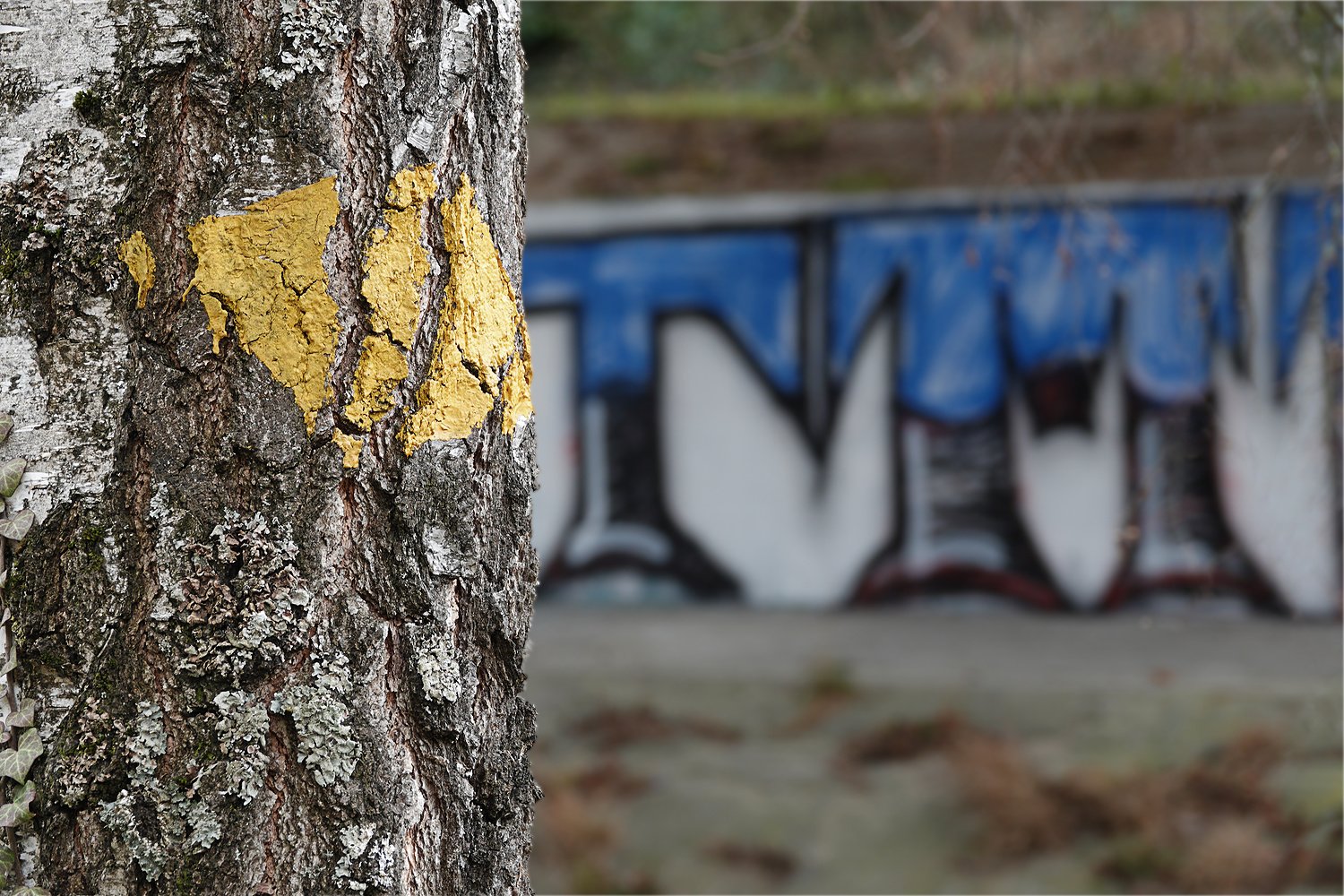 Wanderweg