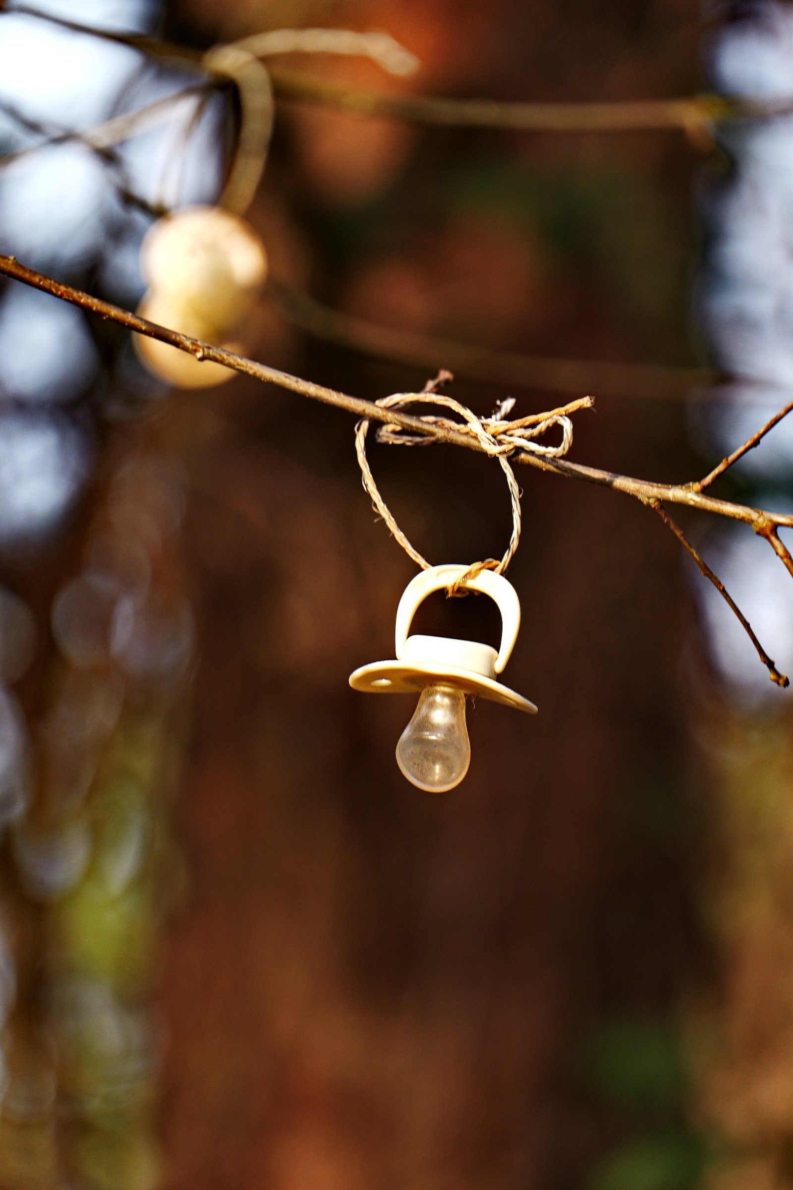 Warten auf den Eigentümer.