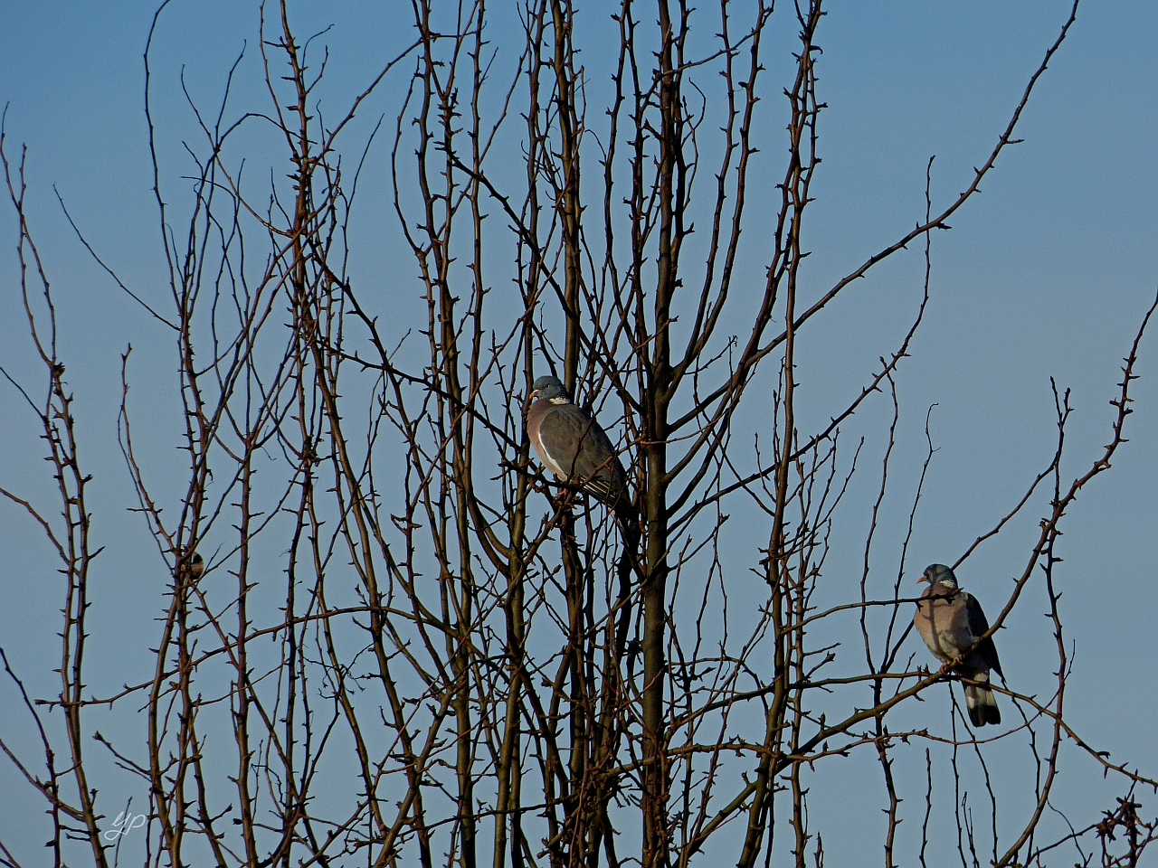 Warten auf den Frühling