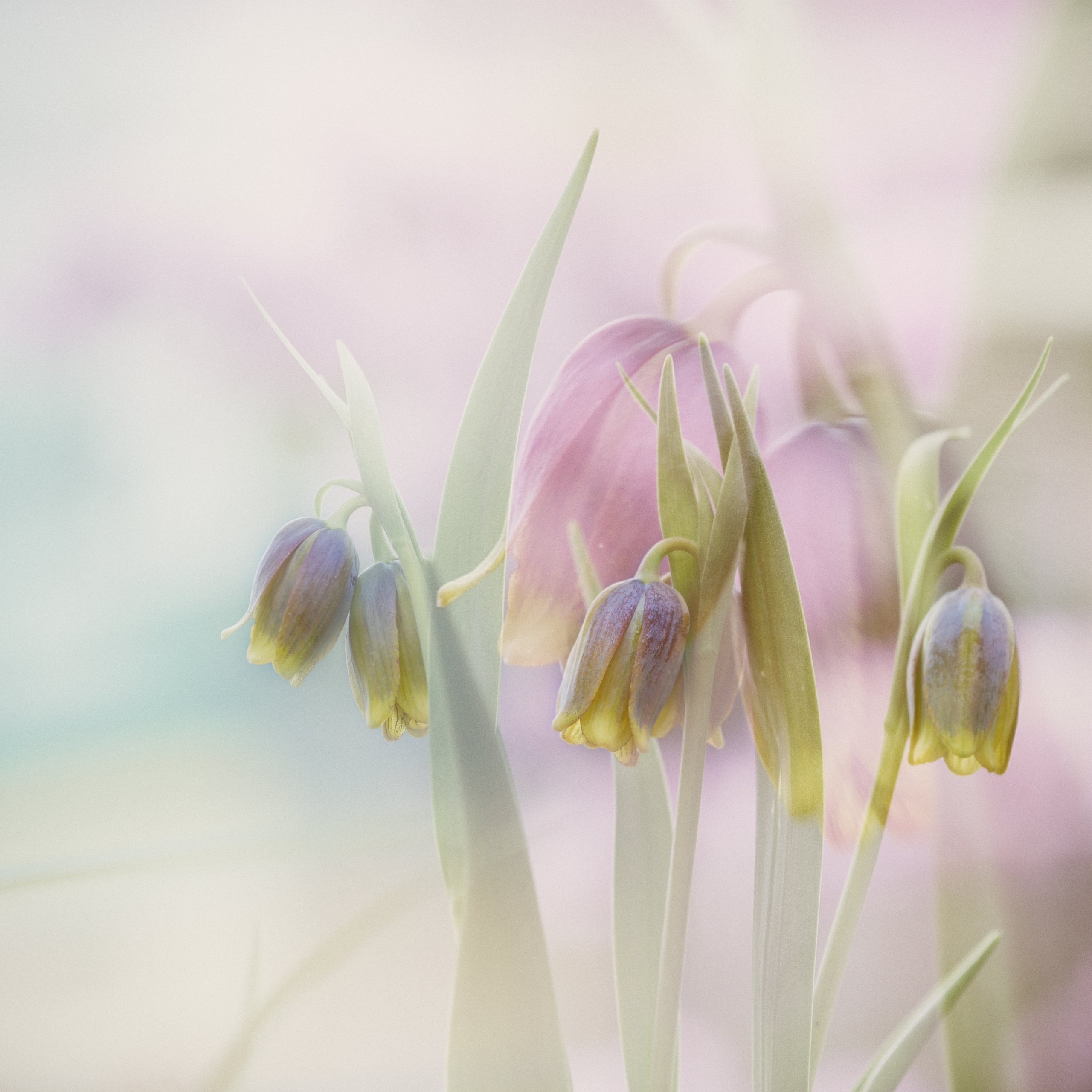 Warten auf den Frühling
