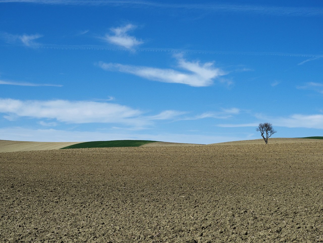 „Warten auf den Frühling“
