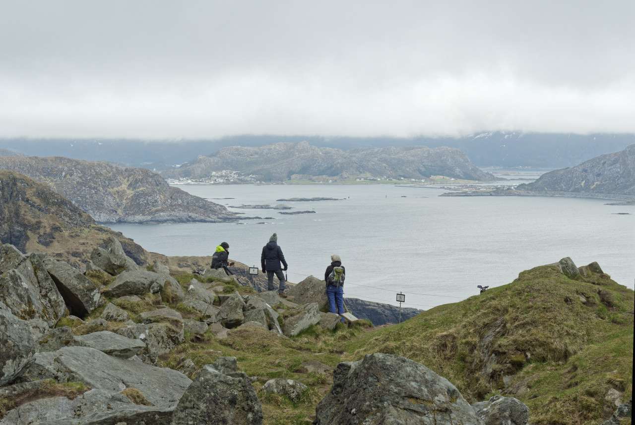 Warten auf die Puffins