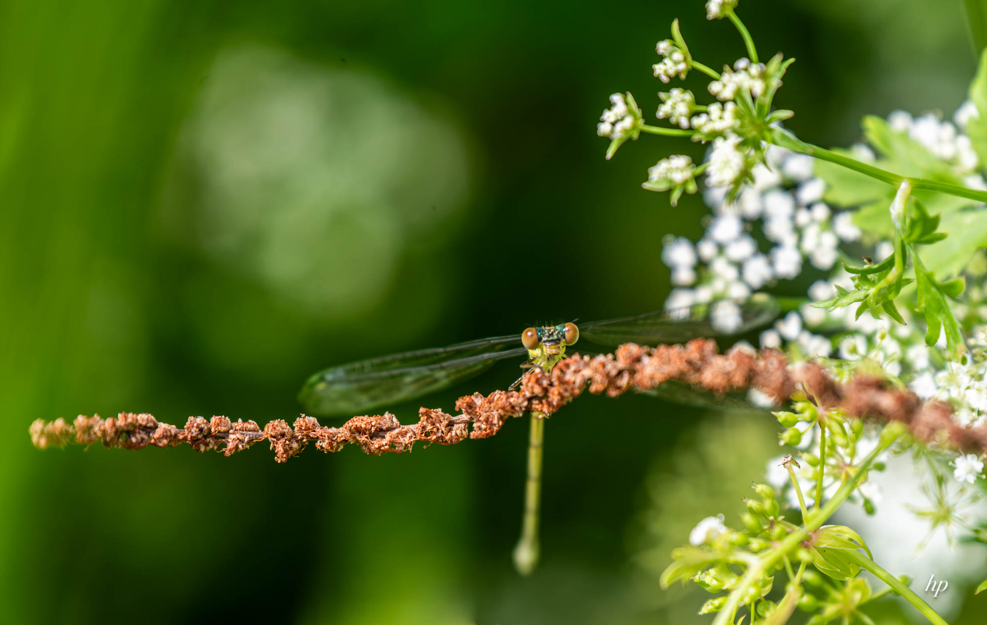 Was guckst du…