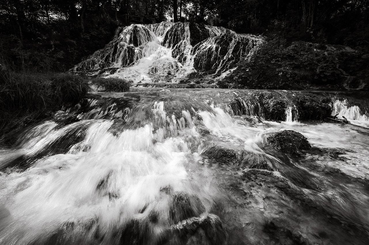 Wasser-Wald