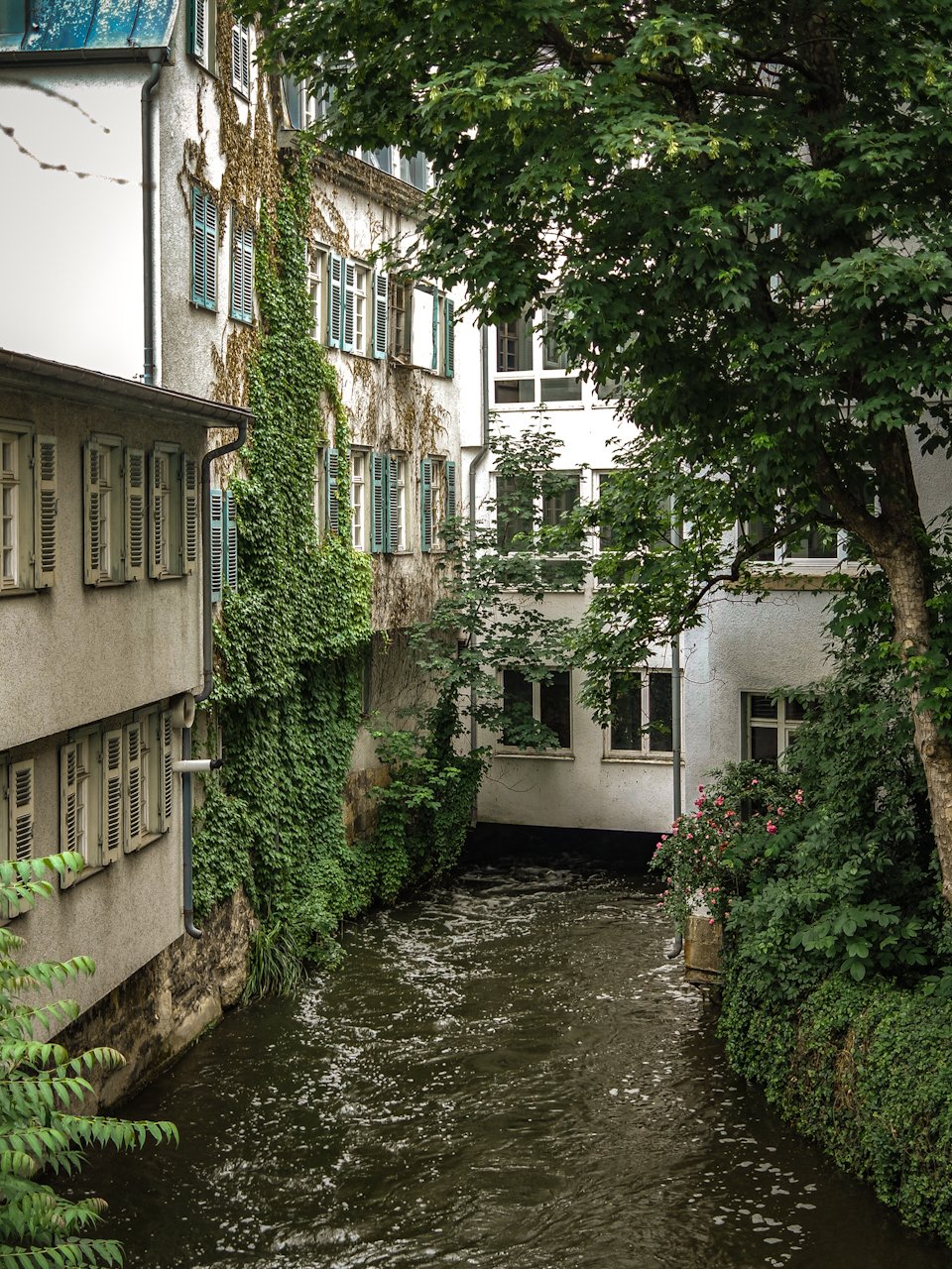 Wassergrundstück