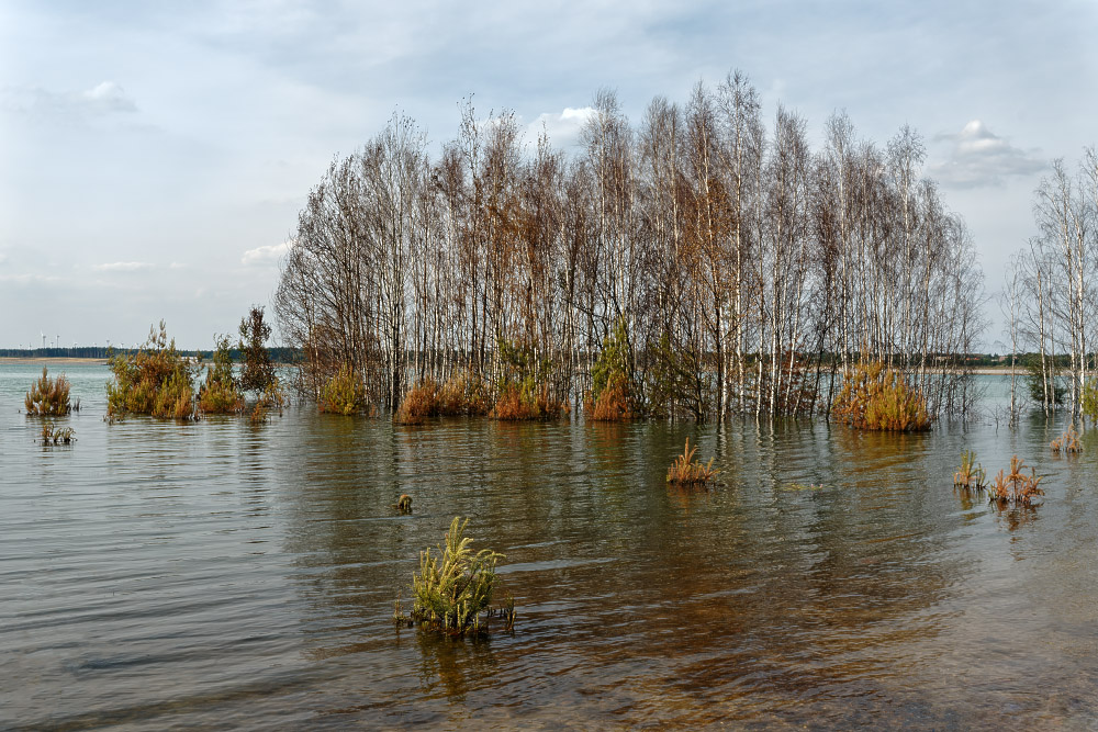 Wasserspiegel