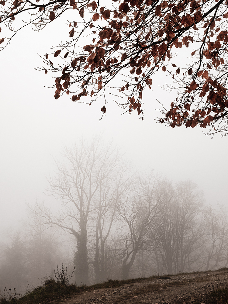 Wege im Nebel