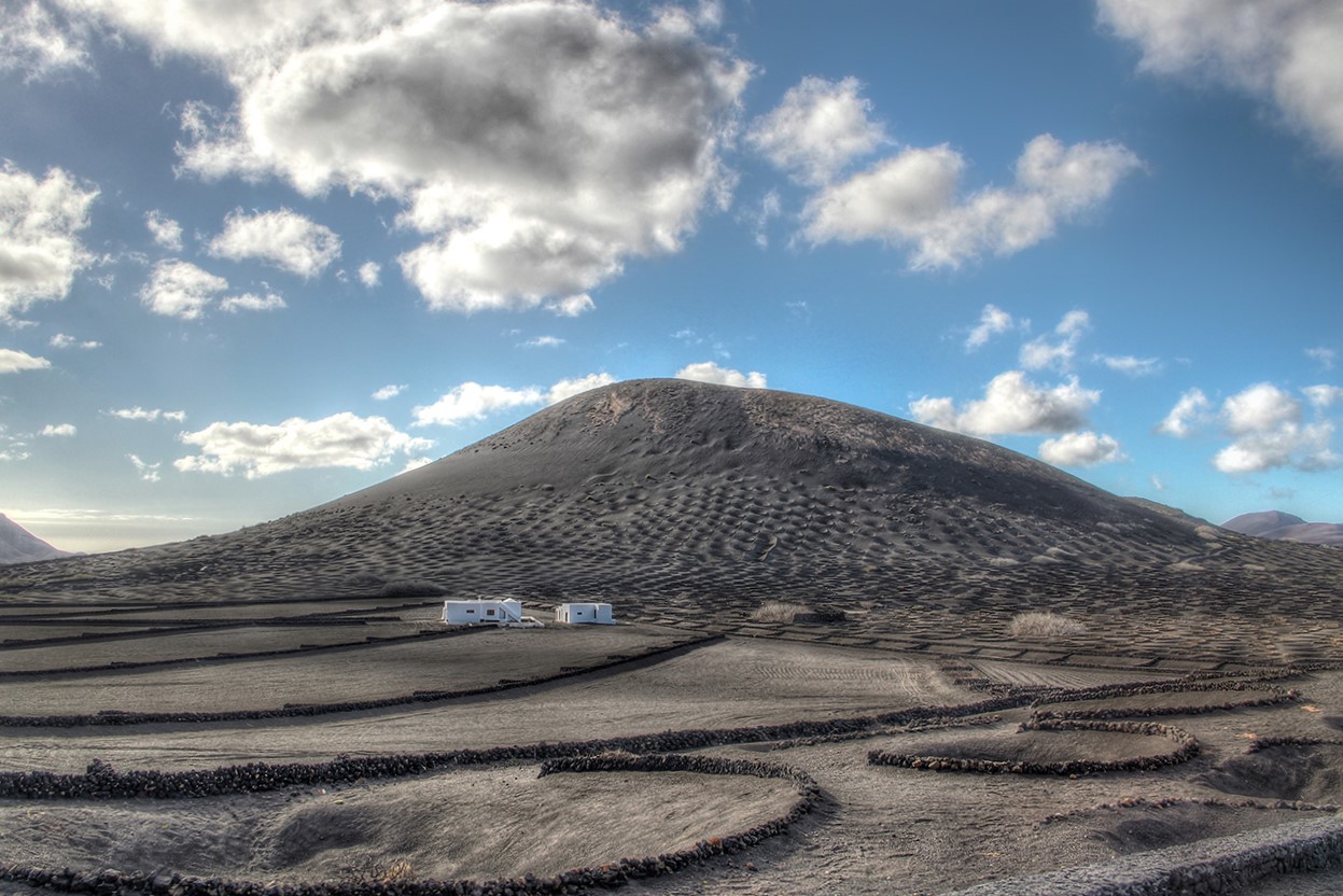 Weinbau in Lanzarote