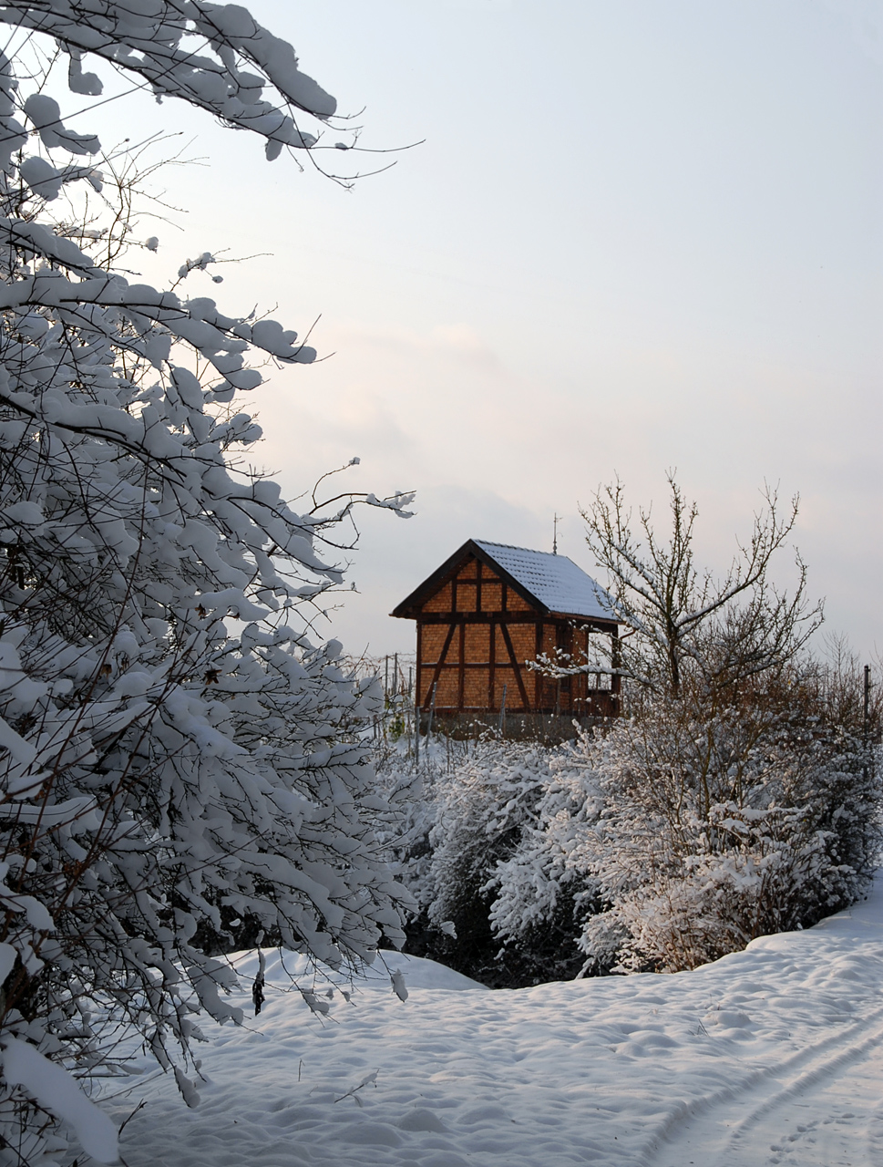 Weinberghütte