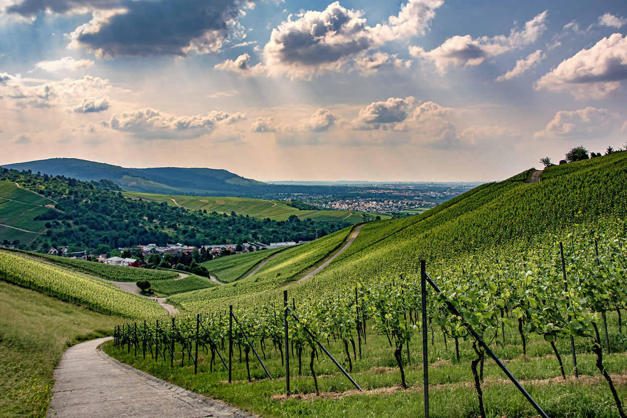 Weinland Württemberg