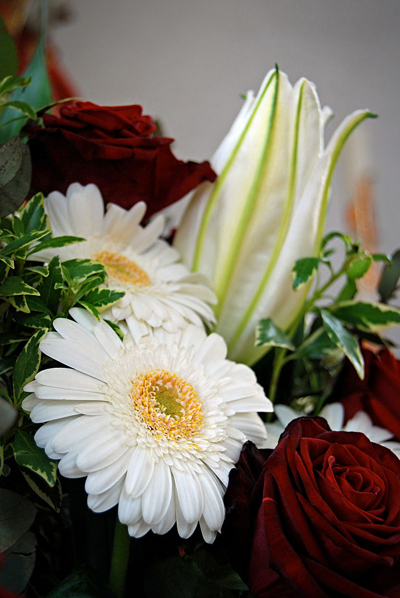 Weisse Gerbera und rote Rosen...