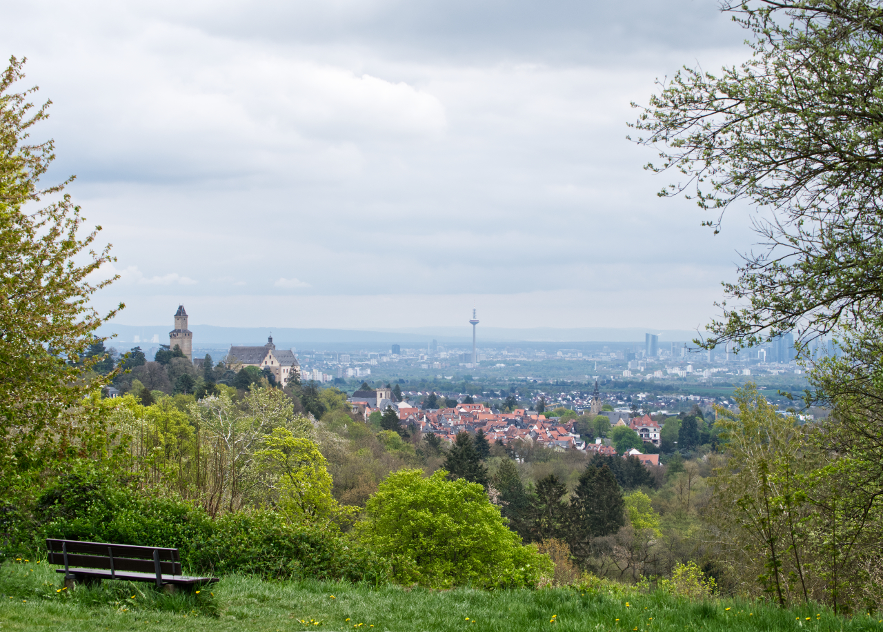 Weitblick