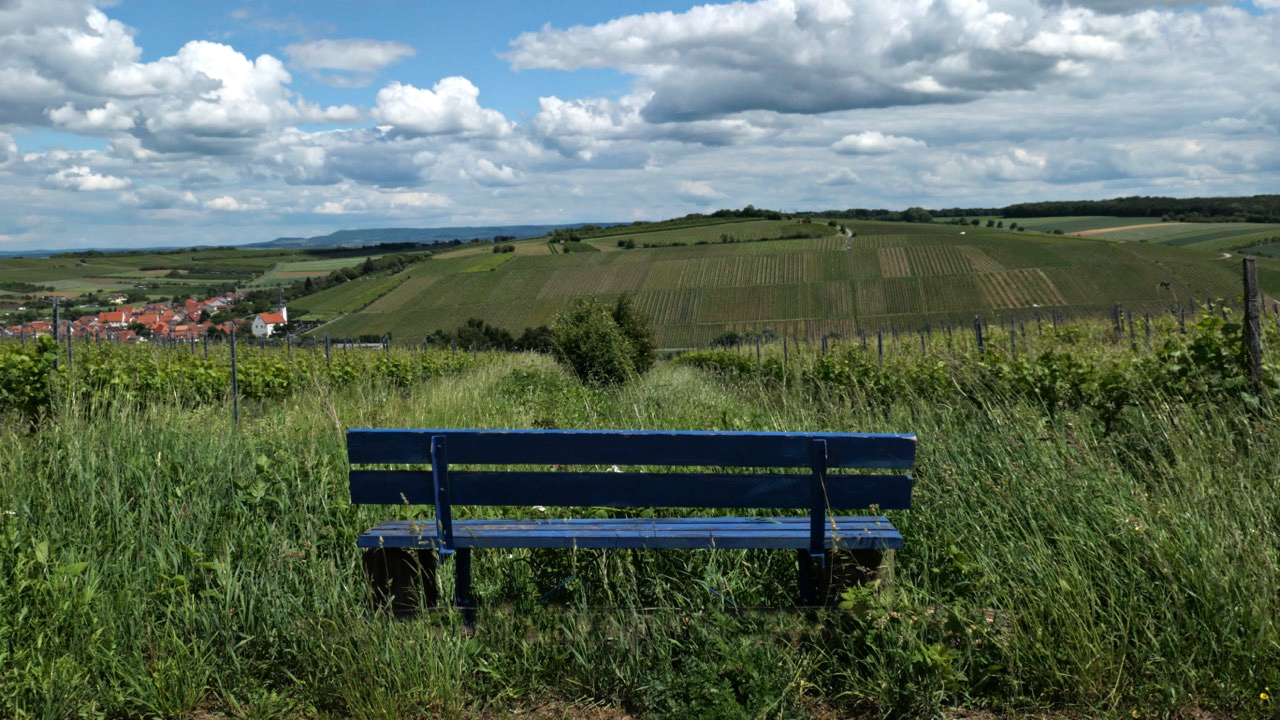 Weitblick