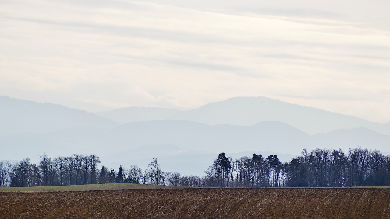 Weitblick