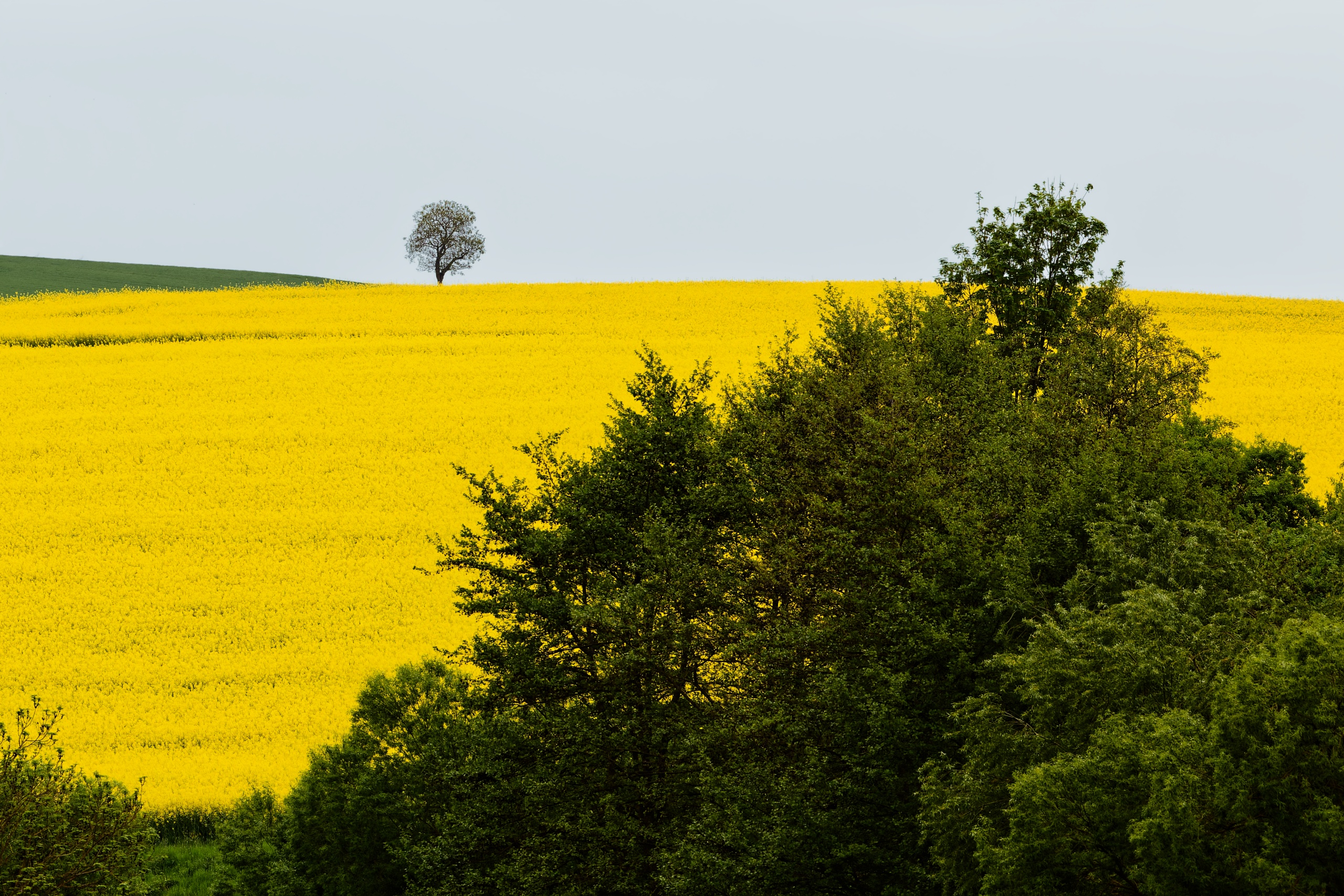Weitblick