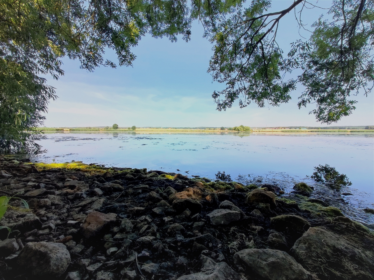 Wenig Wasser am Teich