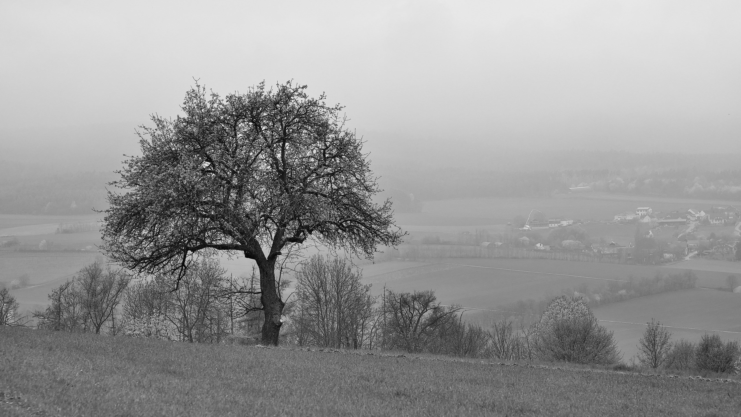 Wenn der Frühling Pause macht.