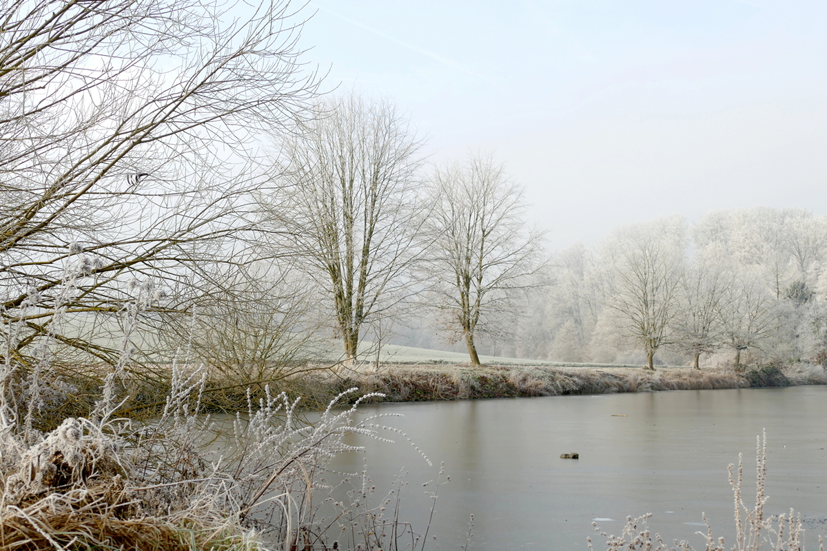 Wenn der Nebel geht