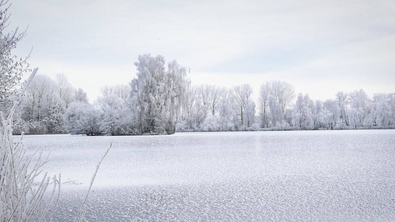 Wenn doch schon mal Winter ist...