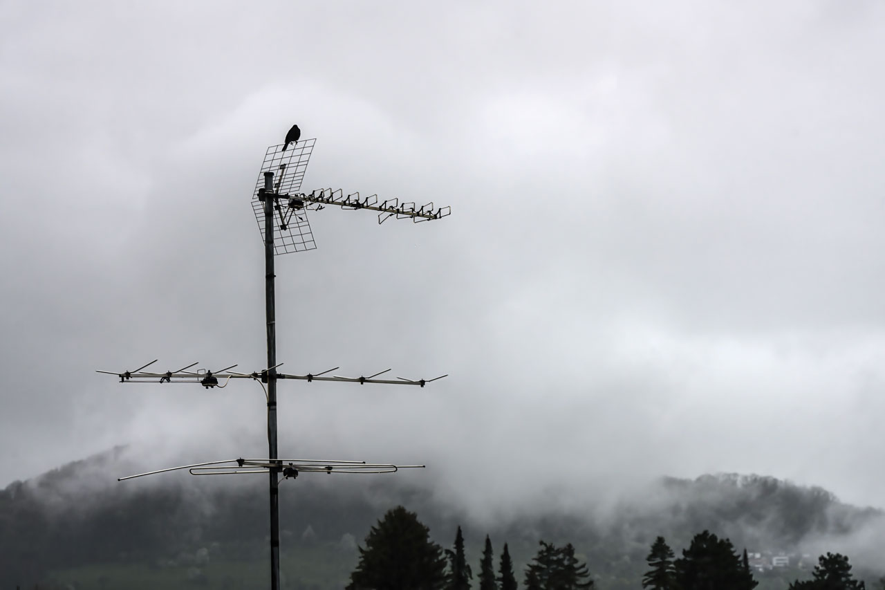 Wettermelder