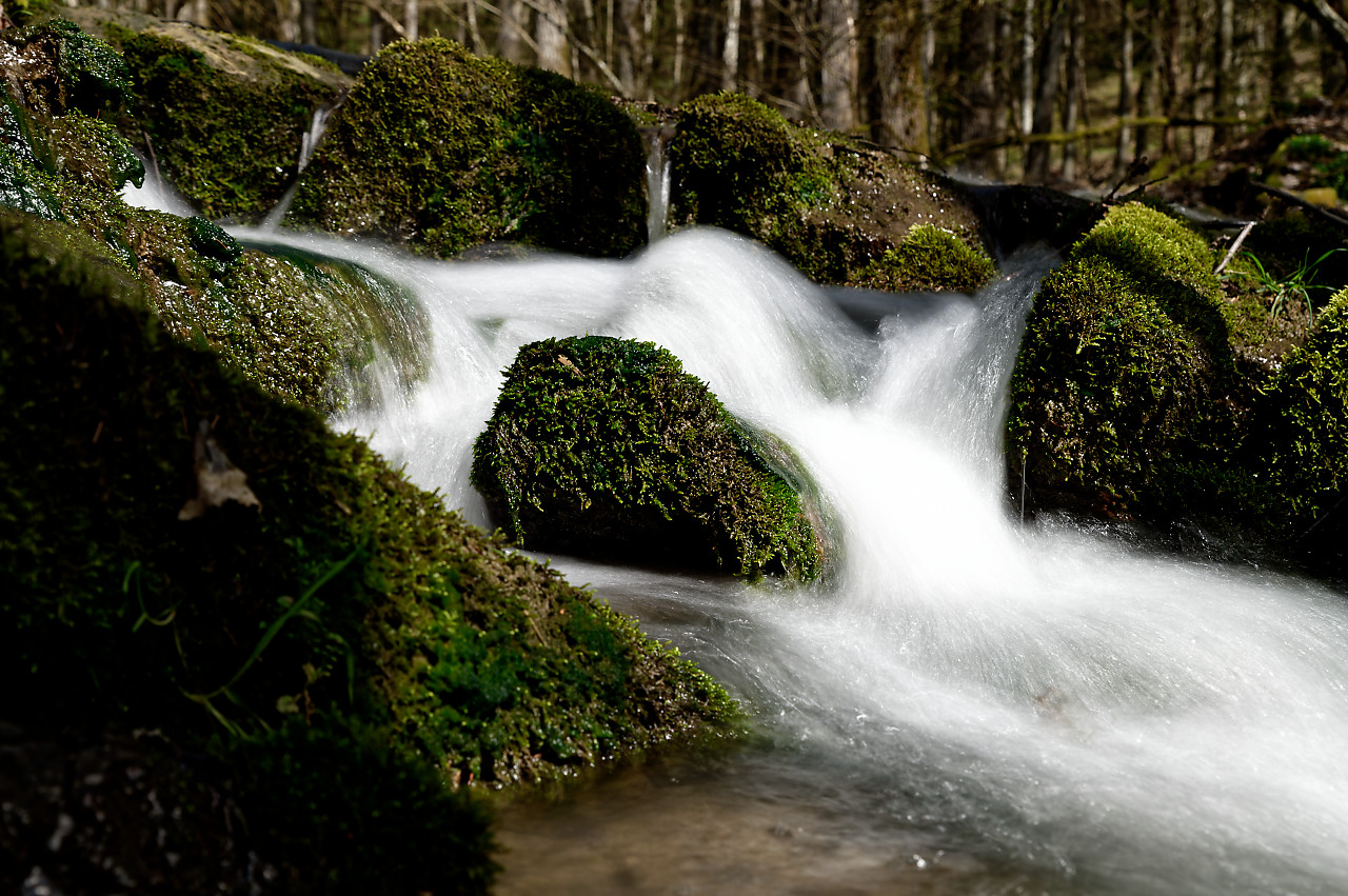 Whirlpool im Wald