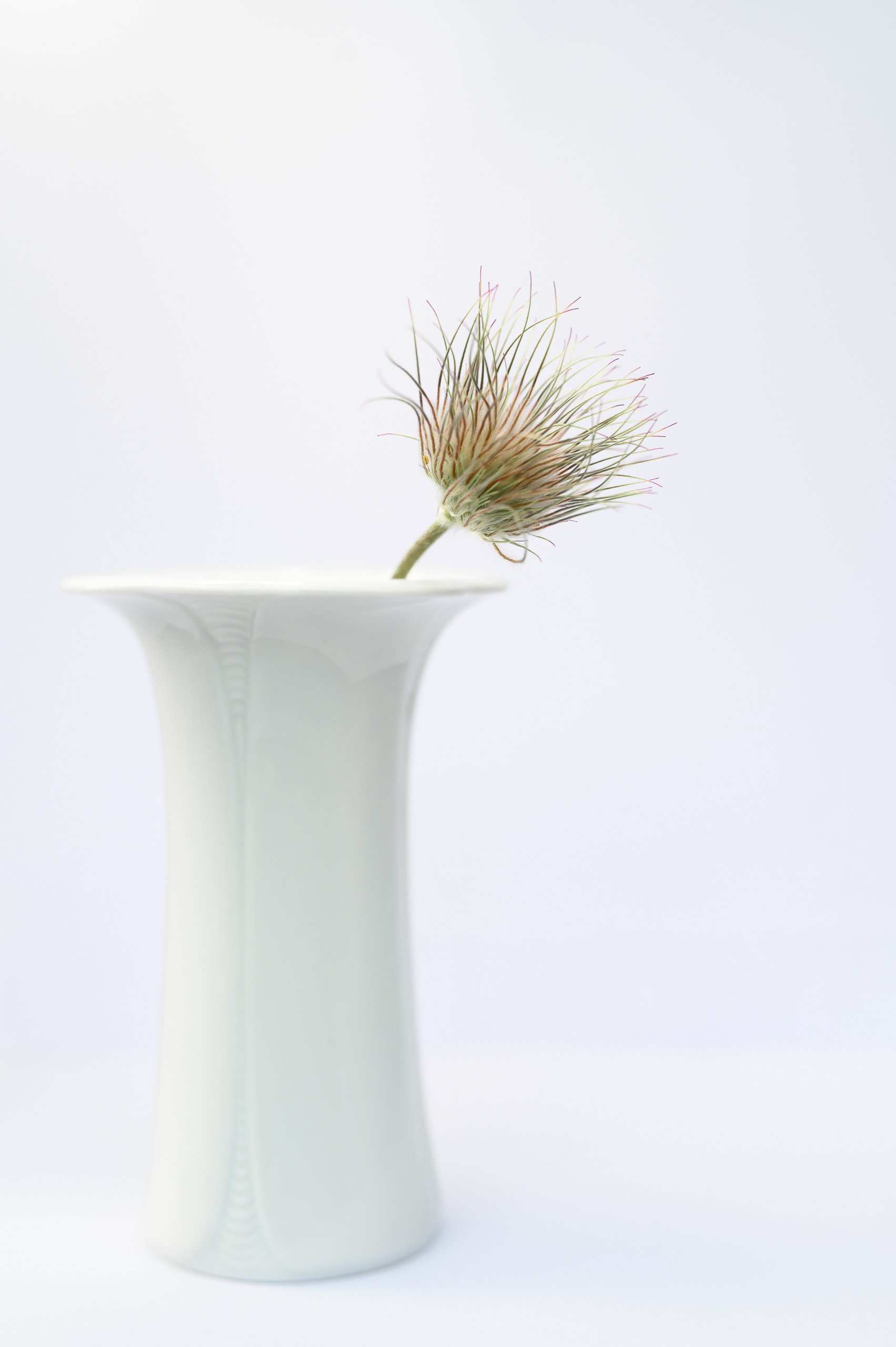 White_vase_with_kitchen_bell_2026-04.jpg