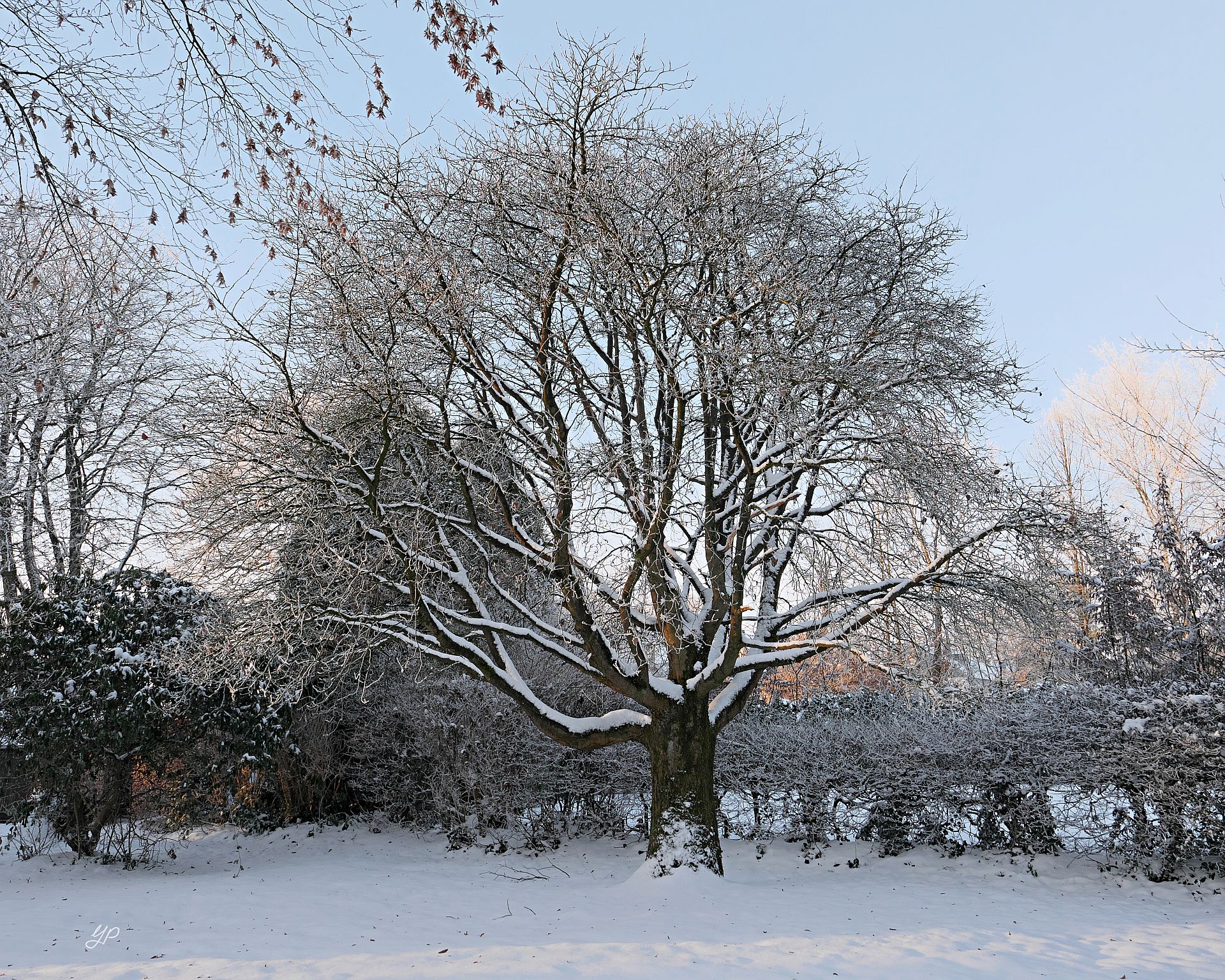 Wiedersehen in Schnee und Raureif