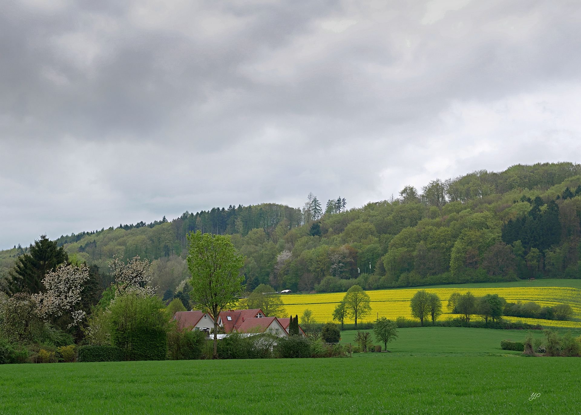 Wiehengebirge im Frühlingsregen