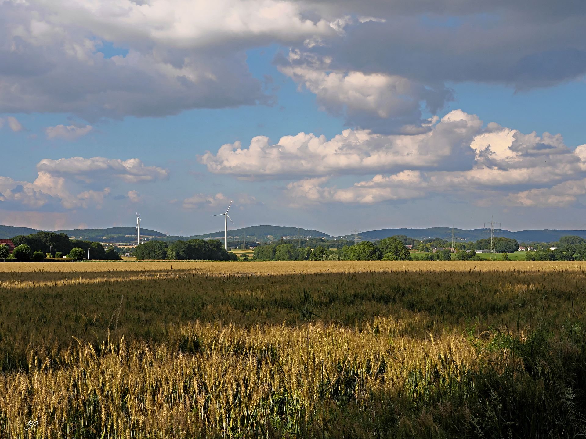 Wiehengebirgslandschaft