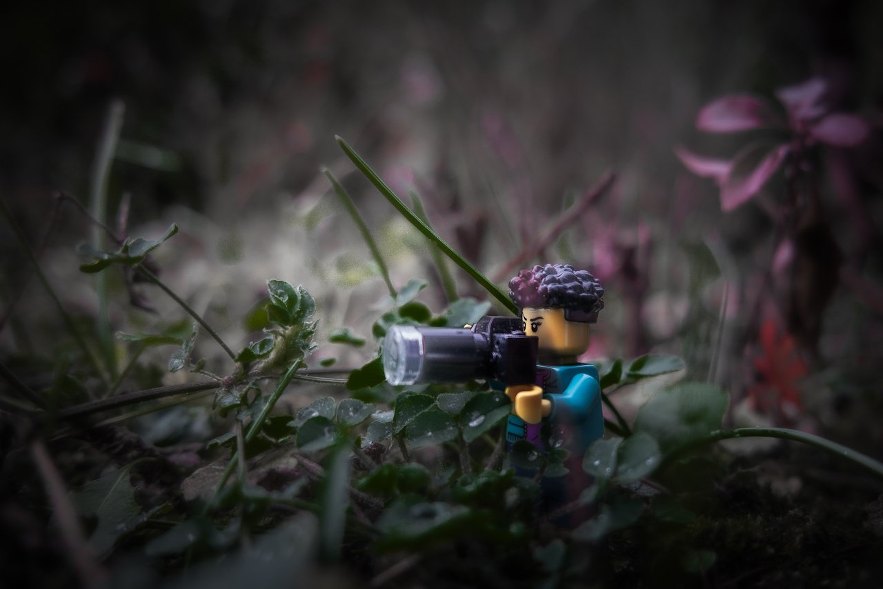 Wildlife Photographer