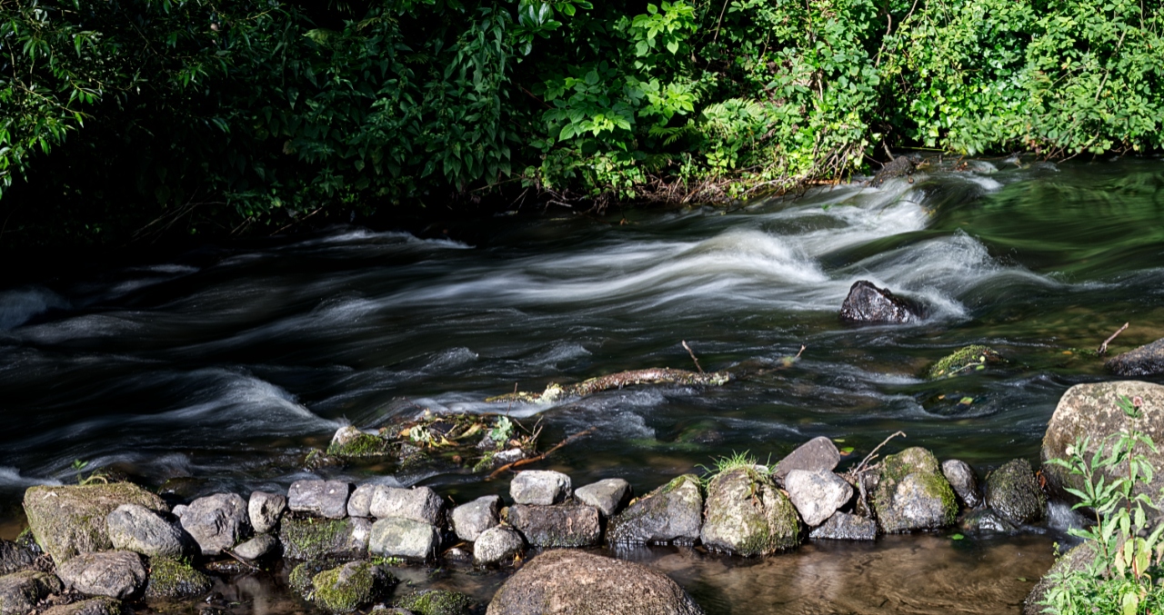 Wildwasser