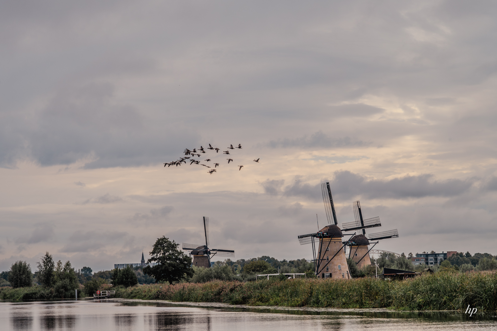 Windmühlen mit Vogelzug…