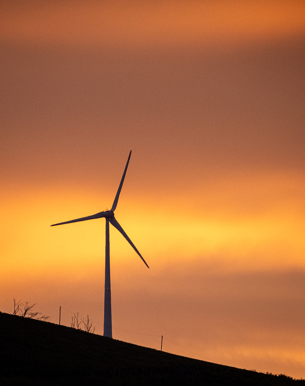 Windrad im Sonnenaufgang