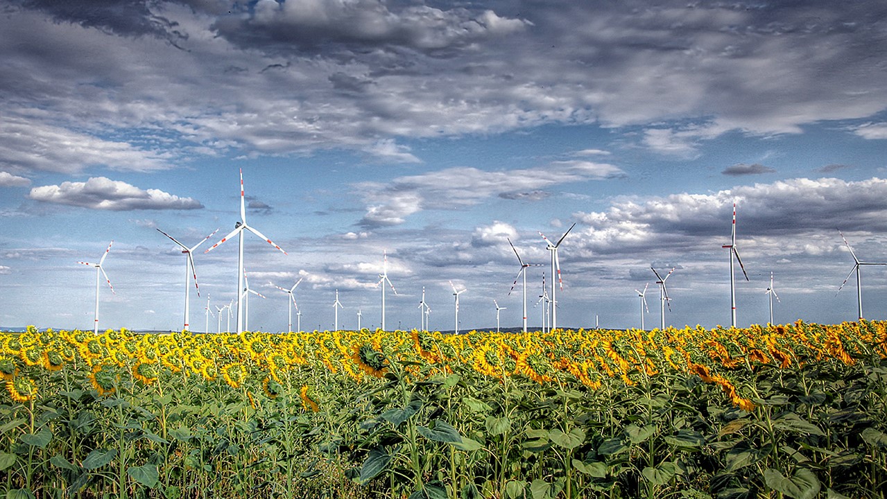 Windräder  (2)