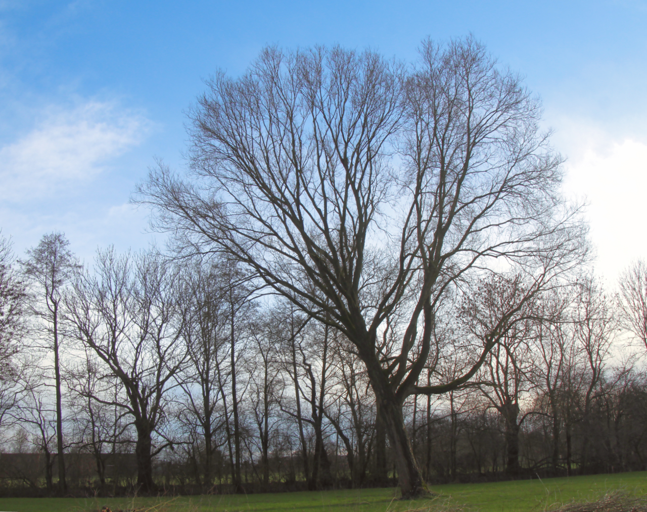 Windschief 2