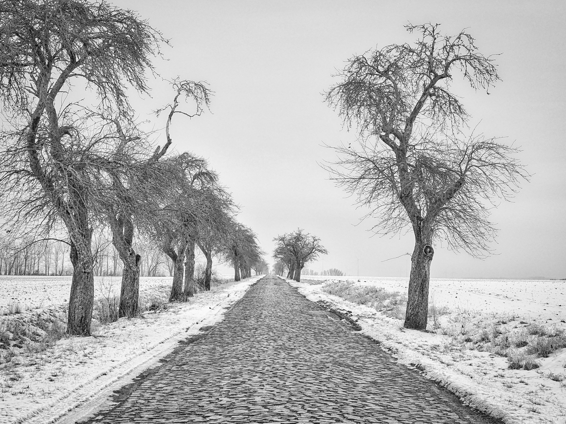 Winter-Allee