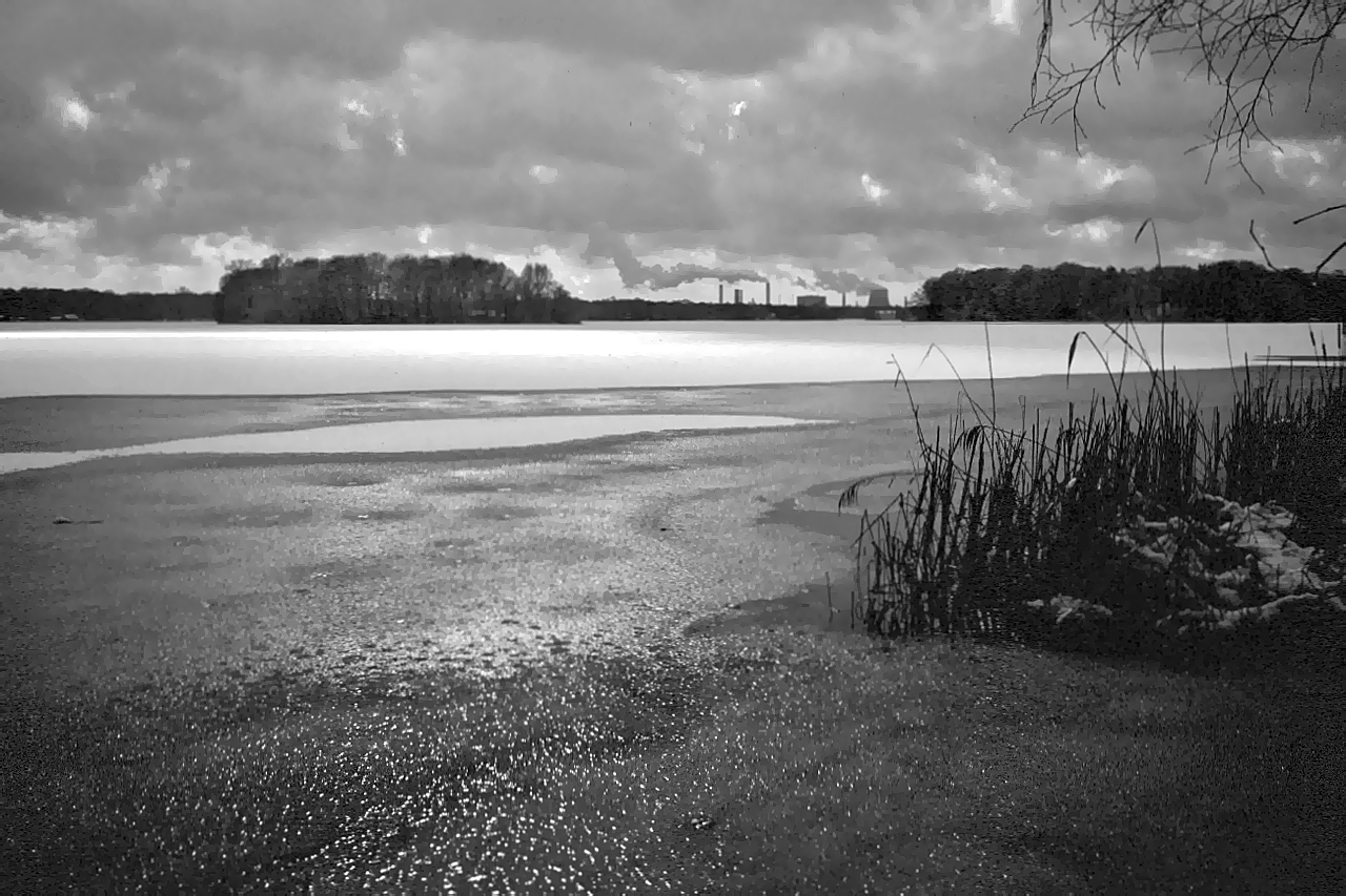 Winter am See