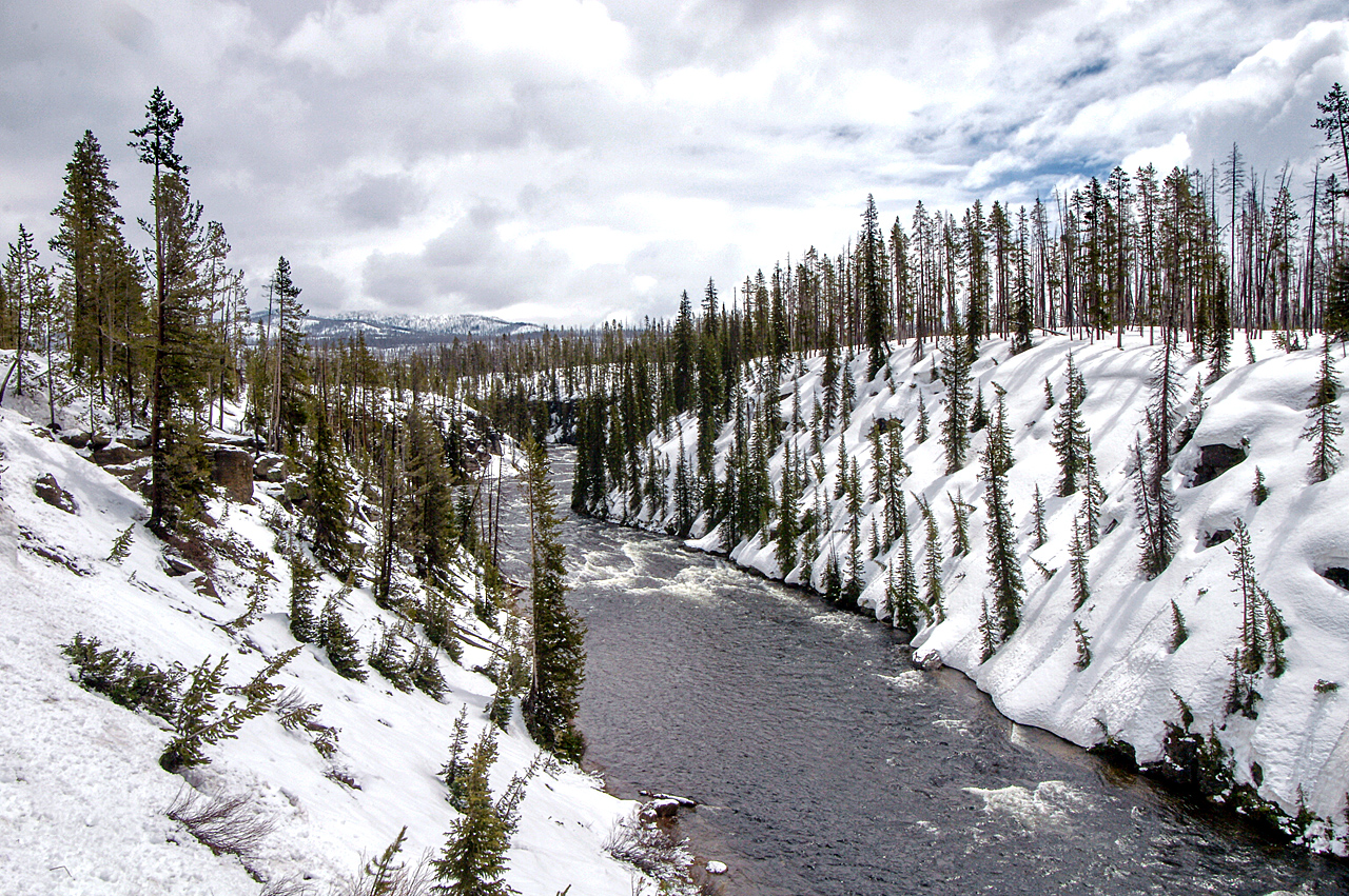 Winter im Yellowstone