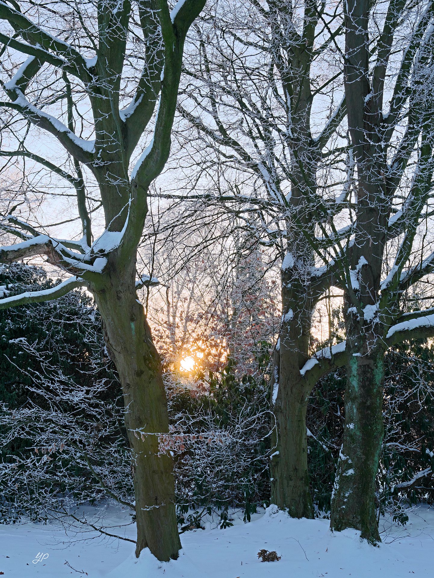 Winter-Sonnenuntergang