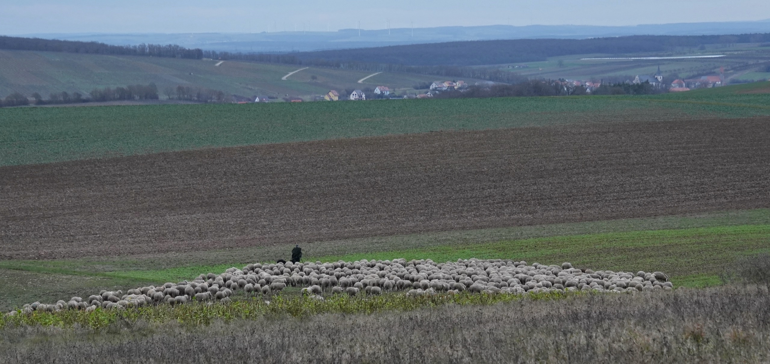 Winteridyll - ohne Schnee .jpg