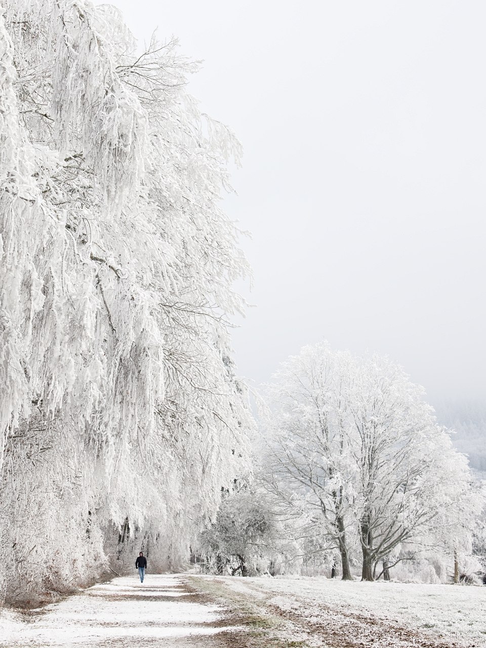 Winterkleid aus Eiskristallen