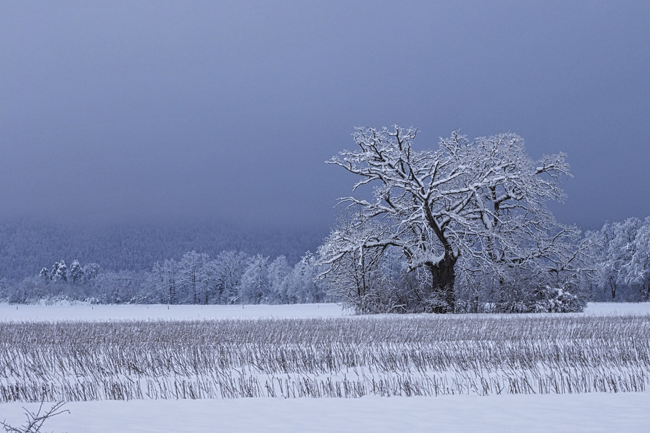 Winterlandschaft Dezember