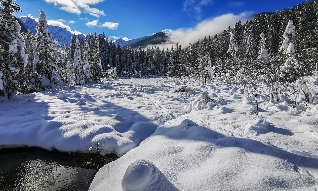 Winterlandschaft