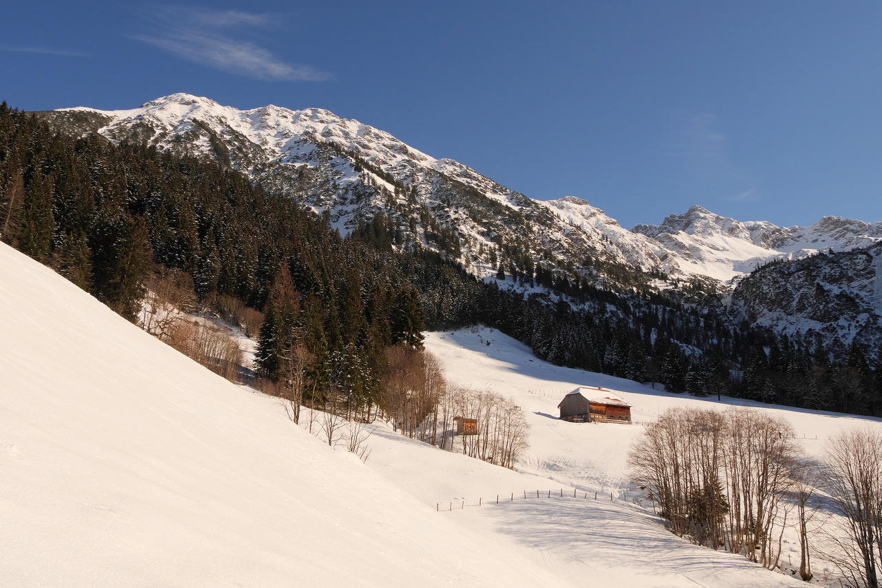 Winterlandschaft