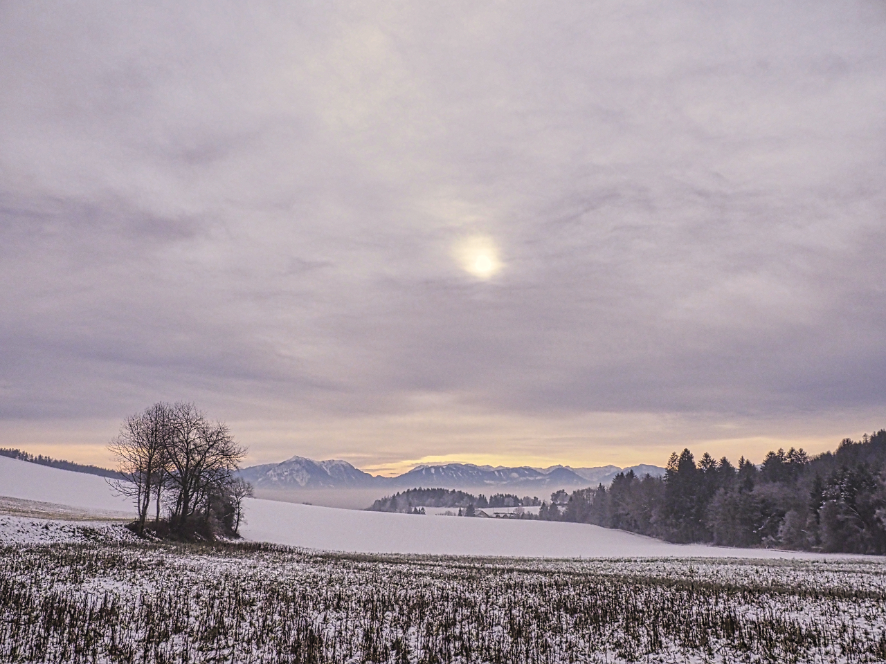 Winterlandschaft