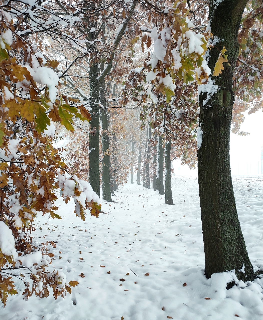 Winterlaub