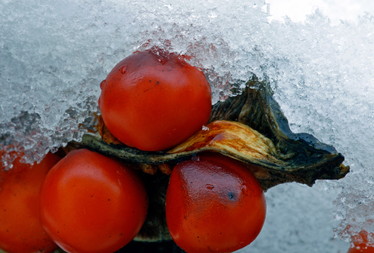 Winterliche Momente # 6